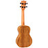 DUC525 EQ Zebrano + Housse Flight