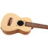 DUC525 EQ Zebrano + Housse Flight