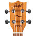 DUC525 EQ Zebrano + Housse Flight