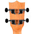 DUC525 EQ Zebrano + Housse Flight