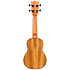 DUS320 Zebrawood + Housse Flight