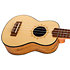 DUS320 Zebrawood + Housse Flight