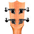 DUS320CEQ Zebrawood + Housse Flight