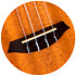 DUT34 Electro-Acoustic Tenor + Housse Flight