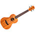 DUT34 Electro-Acoustic Tenor + Housse Flight