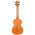 DUT34 Electro-Acoustic Tenor + Housse Flight