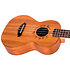 DUT34 Electro-Acoustic Tenor + Housse Flight