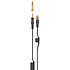 KH 80 DSP + HD 480 PRO Housse Neumann