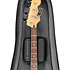 Backline Electric Bass Case D'Addario