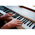 FP-40 Blanc Roland