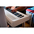 FP-40 Blanc Roland