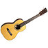 5 28 TERZ Martin Guitars