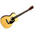 Custom Shop 0-28 Martin Guitars