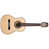 Torres Spruce 1/4 RN + Housse Martinez
