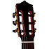 Flamenco MFG-AS E Roja Deluxe RN Martinez