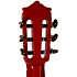 Flamenco MFG-AS E Roja Deluxe RN Martinez