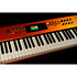 Pack Numa X Piano GT SE + Housse Size B Studiologic