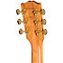Songwriter Recording Artist Rosewood Burst LH Gibson