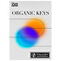 Organic Keys (Licence téléchargeable) UVI