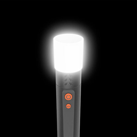 Lampe de Poche LED FLX-1000 Hama