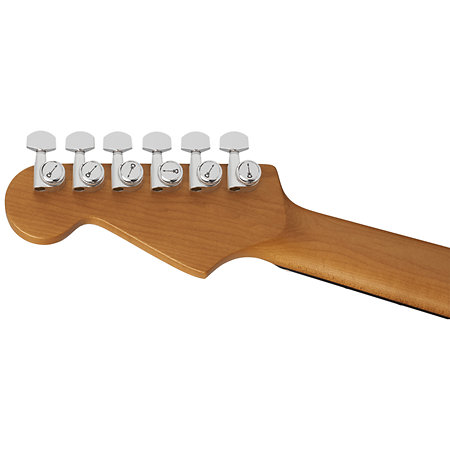 Pro-Mod Plus Dinky DK24 HSS EB QM Amber Tiger Eye Charvel