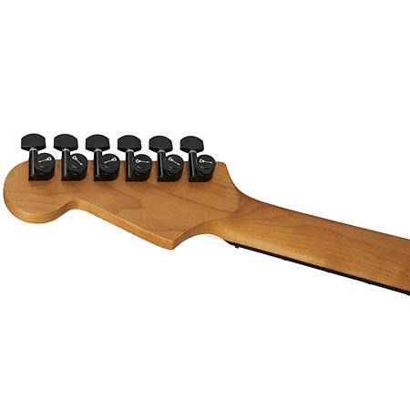 Pro-Mod Plus Dinky DK24 HH HT EB Black Ash Charvel