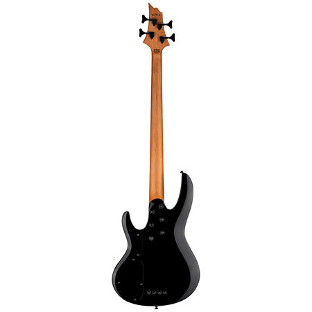 B204 DX Black Burst LTD