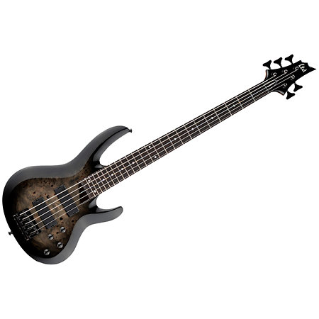 LTD B205 DX Black Burst