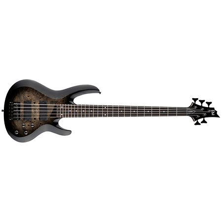 LTD B205 DX Black Burst