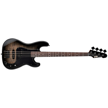 LTD Surveyor 204DX Black Burst