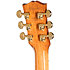 Hummingbird Standard Rosewood Rosewood Burst Gibson
