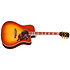Hummingbird Standard Rosewood EC Rosewood Burst Gibson