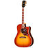 Hummingbird Standard Rosewood EC Rosewood Burst Gibson