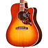 Hummingbird Standard Rosewood EC Rosewood Burst Gibson