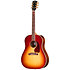 J-45 Standard Rosewood Rosewood Burst Gibson