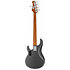 StingRay RAY35HH Charcoal Frost Sterling by Music Man