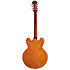 Riviera Royal Tan Epiphone