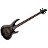B204 DX Black Burst LTD