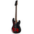 Surveyor 204DX Red Burst LTD
