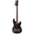 Surveyor 204DX Black Burst LTD