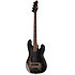Surveyor 204DX Black Burst LTD