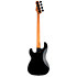 Surveyor 204DX Black Burst LTD