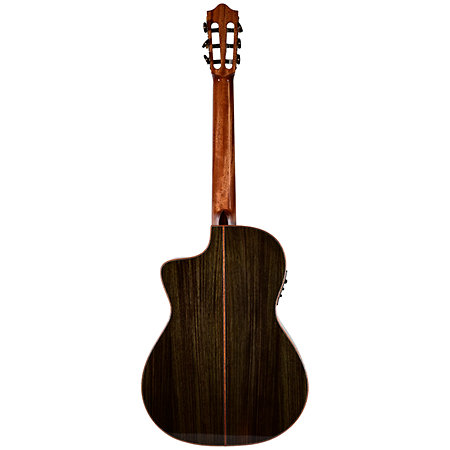 Performer MS-12 RS Martinez