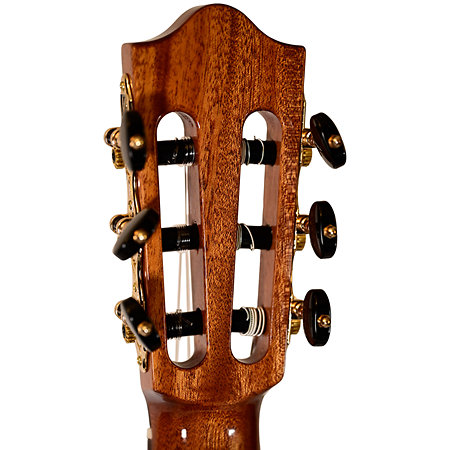 Performer MS-12 RS Martinez