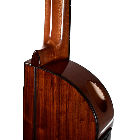 Performer MSCC-14 Santos Rosewood + Étui Martinez