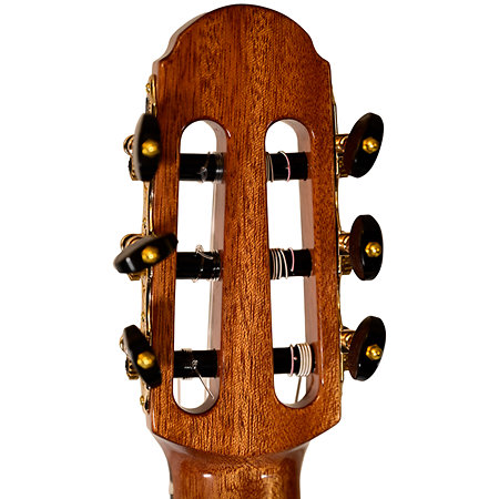 Performer MSCC-14 Santos Rosewood + Étui Martinez