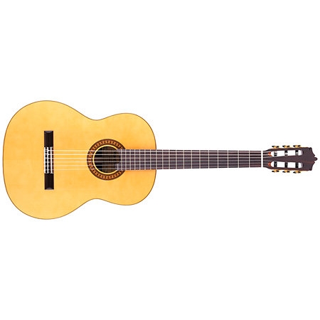 Martinez Flamenco MFG-RS + Housse