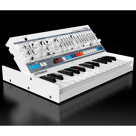 n/vision Roland