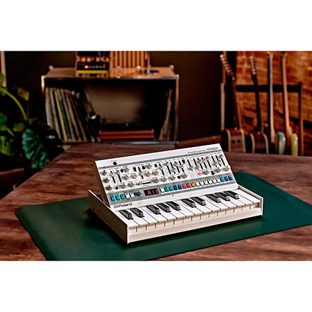 n/vision Roland