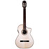 Performer MS-12 RS Martinez